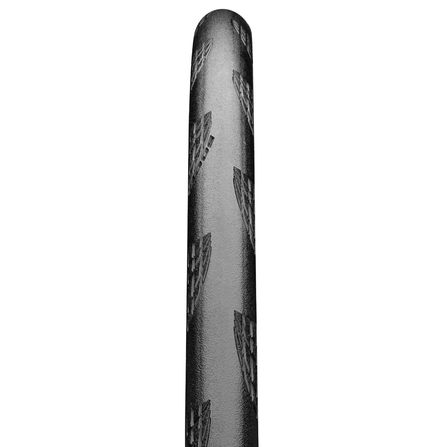 Ulkorengas 28" CONTINENTAL GP5000S TR transparent tubeless, 28-622