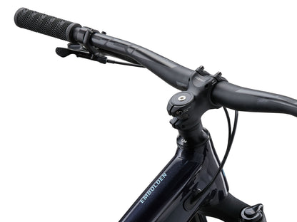 Liv Embolden 2 29" (2024)