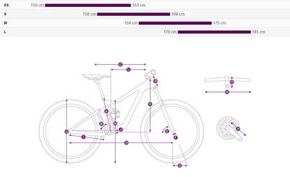Liv Intrigue LT Advanced 2 (2024)