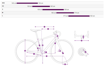 Liv Avail Advanced 1