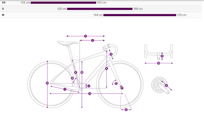 Liv Langma Advanced Pro 1 AXS
