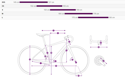 Liv Langma Advanced 1 QOM
