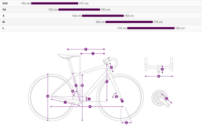 Liv Enviliv Advanced SL LTD