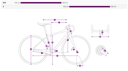 Liv Avail Advanced 2