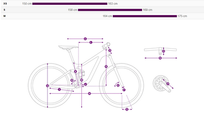 Liv Intrigue LT Advanced 1 (2024)