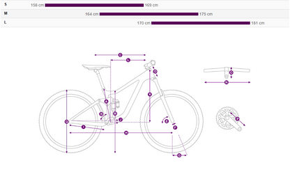 Liv Intigue LT 1 (2023)