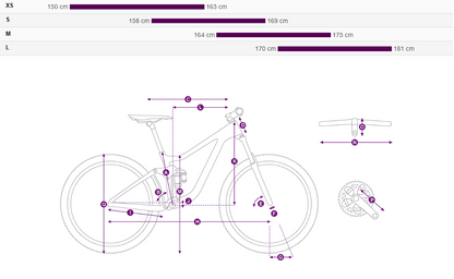 Liv Intigue LT 2 (2023)