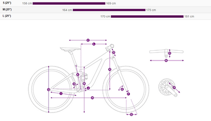 Liv Embolden 2 29" (2024)