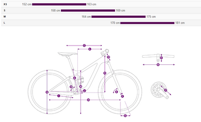 Liv tempt E+2 (2023)