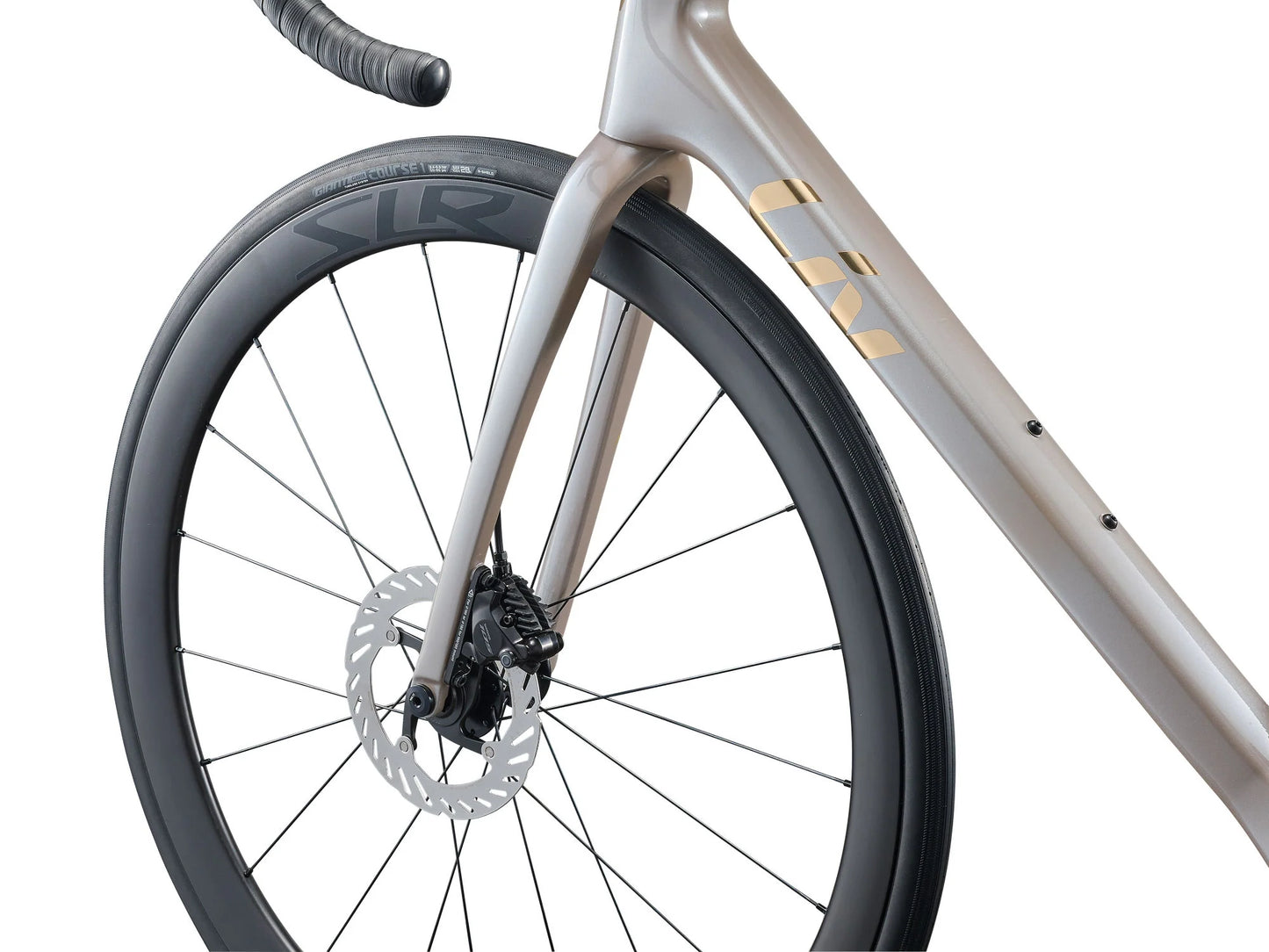 LIV LANGMA ADVANCED 0 2026