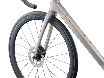 LIV LANGMA ADVANCED 0 2026